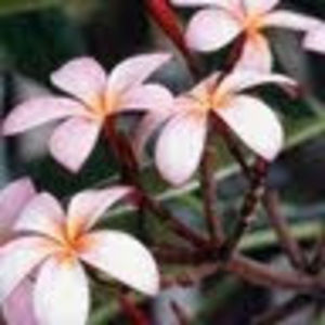 Meet your Posher, Catherine3